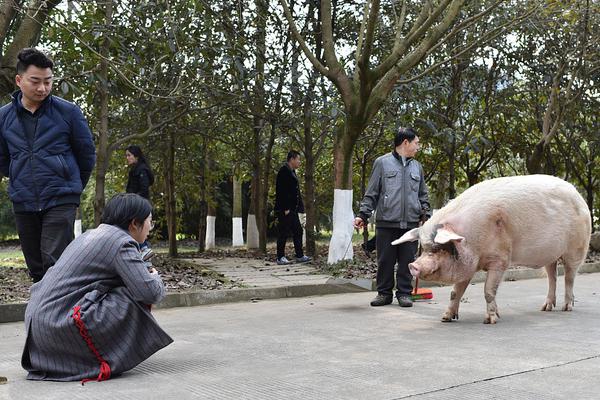 年报虚假记载 美晨科技股民最新索赔标准出炉