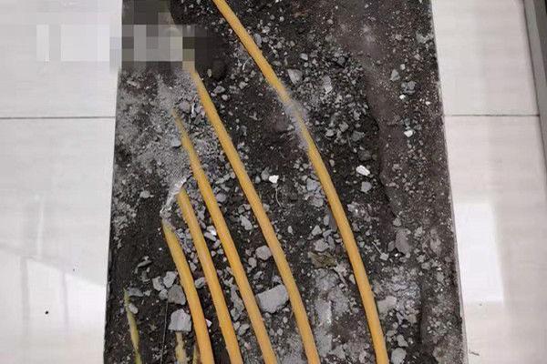 张雅琴