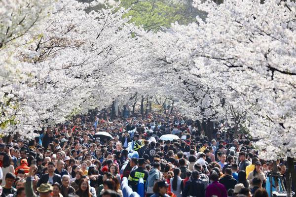 聚焦六方面发力 深圳打造产业金融中心