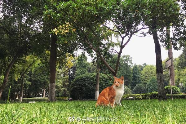 冯赛军任长沙市人民政府秘书长