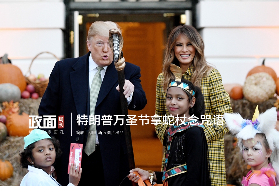 “毛孩子”经济火热 宠物食品上市公司业绩提升 多家企业跨界“掘金”