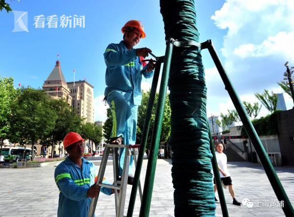 博主谈《重器》朱颜曼滋演技