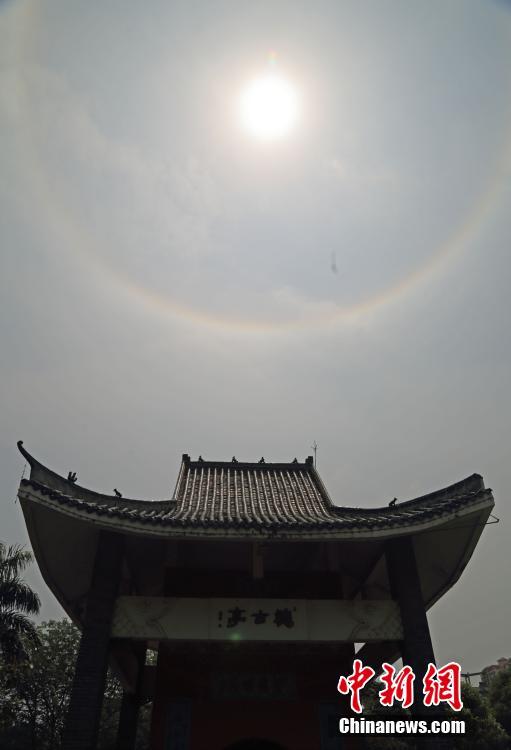 毕得医药：前三季度实现营业收入9.79亿元