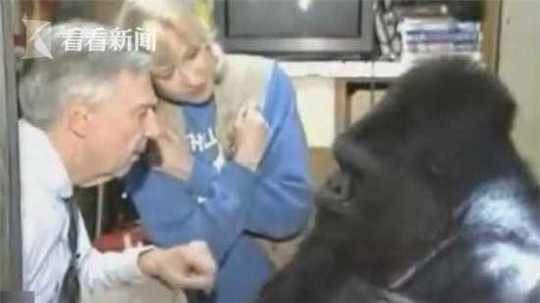 财经早报：半导体大消息两大巨头敲定涨价 头部券商纷纷上调两融额度丨2025年11月6日