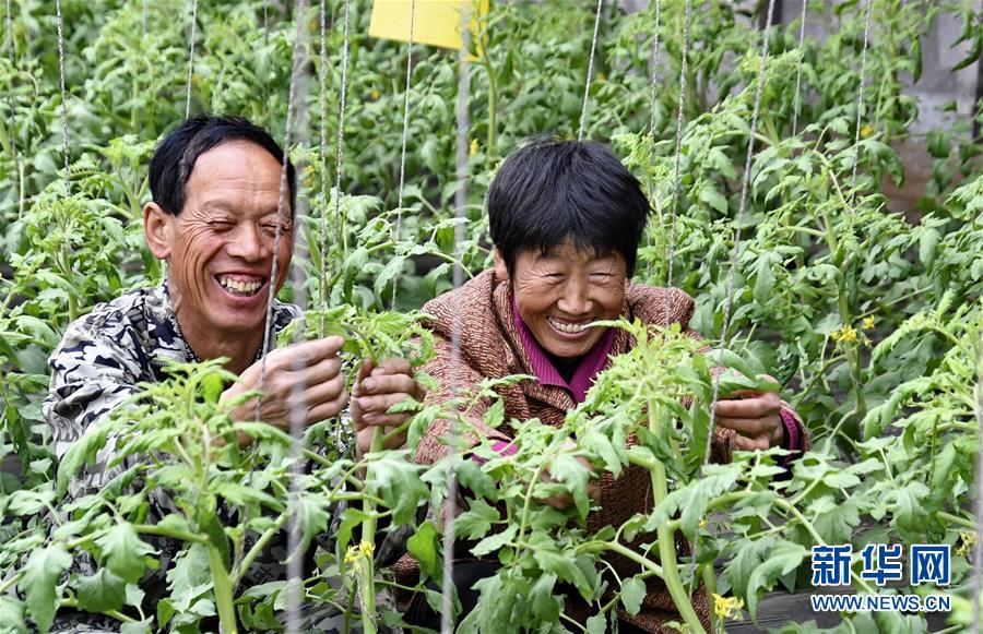 湖北省政府国有资产监督管理委员会原副主任刘志田接受纪律审查和监察调查