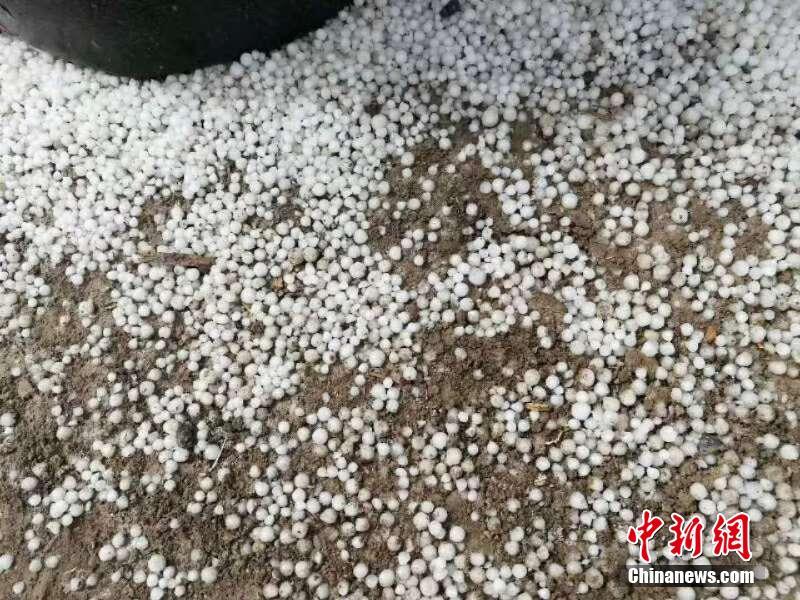 女装的钱太好赚了