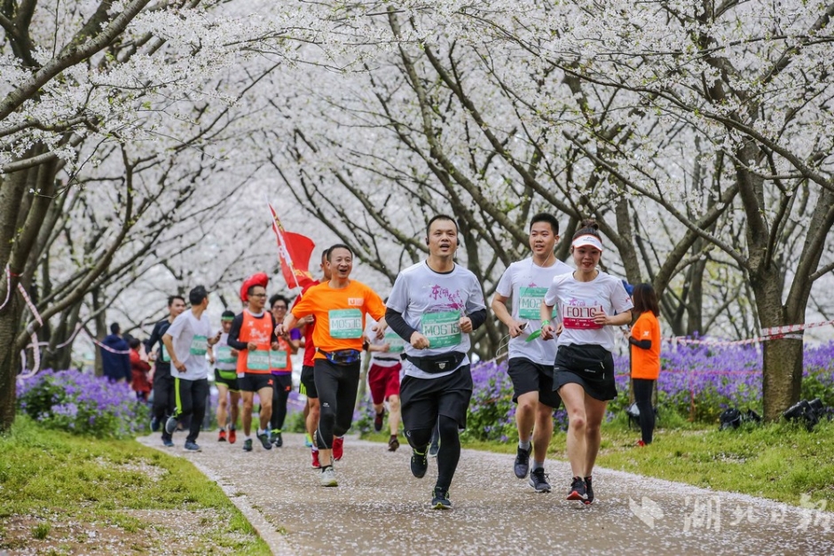 华安基金：美国强就业提振加息预期，央行购金潮延续