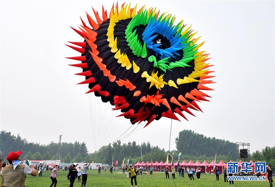 141期冰丫头快乐8预测奖号：奇偶比分析