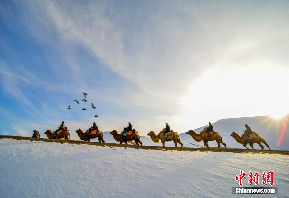 【方正证券】中国太保9m25业绩点评：利润增速稳步提升，cor同比改善