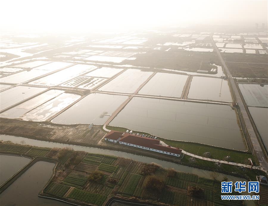 omdia下调2026年显示面板出货数量预测至衰退6%