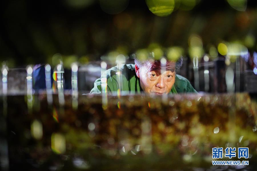 迎驾贡酒：上半年归母净利润11.3亿元，同比下降18.19%
