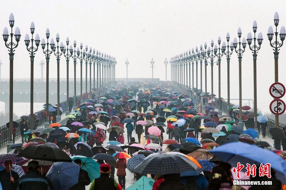 港股光伏板块短线杀跌 “反内卷”交易降温后多晶硅期货回落逾10%