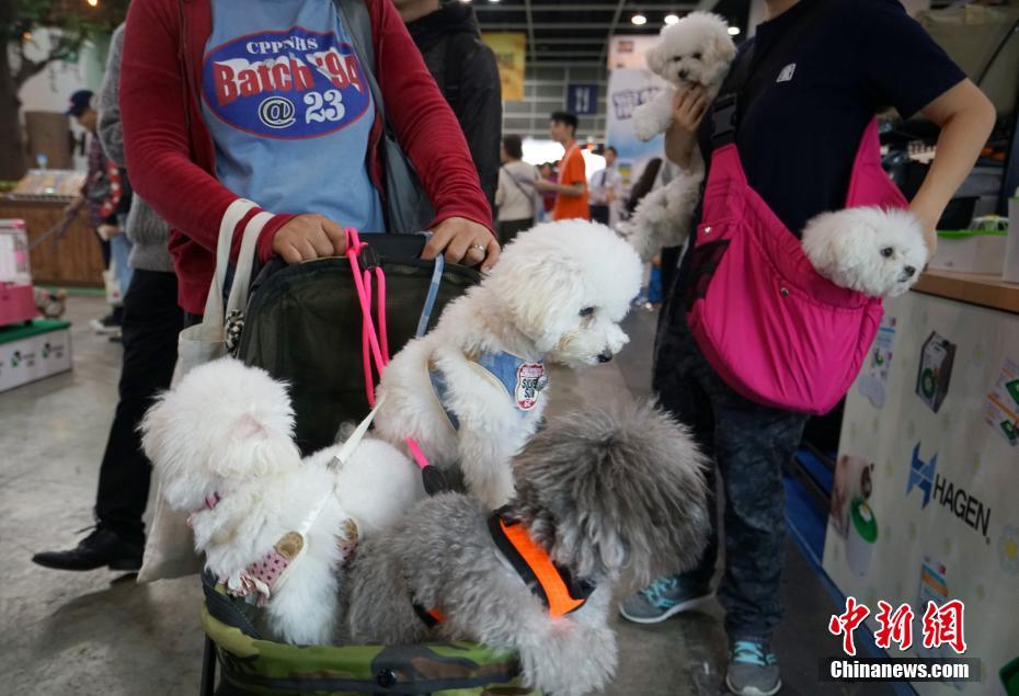 2025中国民企500强榜单出炉，瑞幸咖啡首次上榜