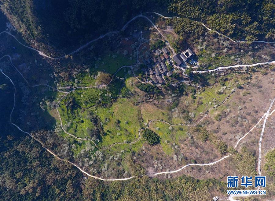 王传福妻子现身地铁前往北京车展 网民点赞绿色出行