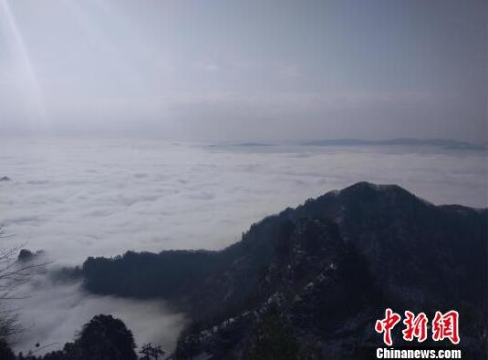 崔永元